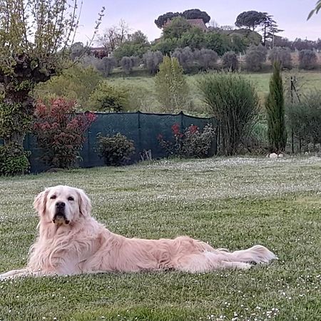 Montepulciano - La Casetta Del Pian Delle Noci Acquaviva  Bagian luar foto
