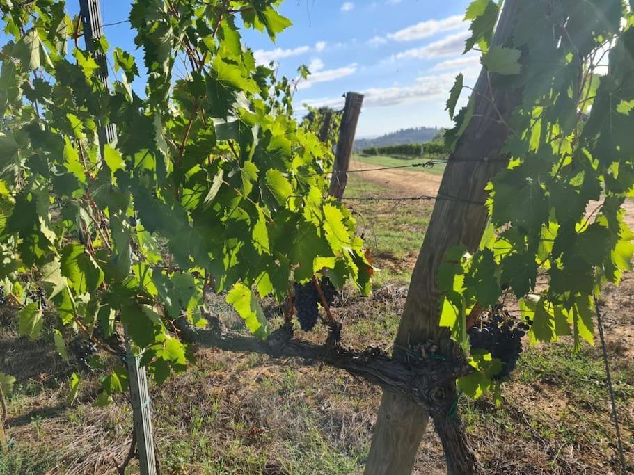 Montepulciano - La Casetta Del Pian Delle Noci Acquaviva  Bagian luar foto