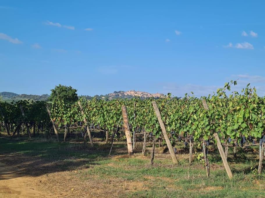 Montepulciano - La Casetta Del Pian Delle Noci Acquaviva  Bagian luar foto