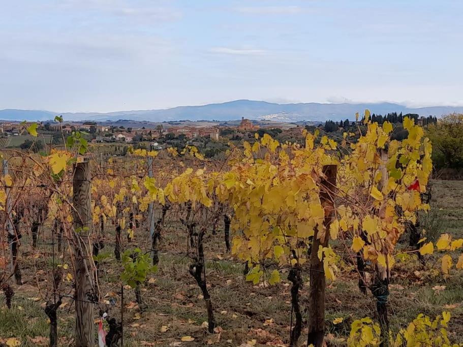 Montepulciano - La Casetta Del Pian Delle Noci Acquaviva  Bagian luar foto