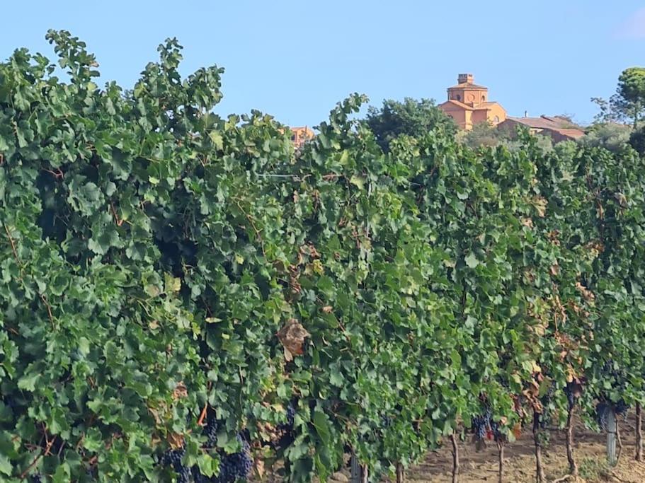 Montepulciano - La Casetta Del Pian Delle Noci Acquaviva  Bagian luar foto