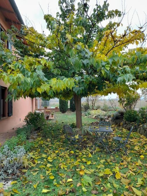 Montepulciano - La Casetta Del Pian Delle Noci Acquaviva  Bagian luar foto