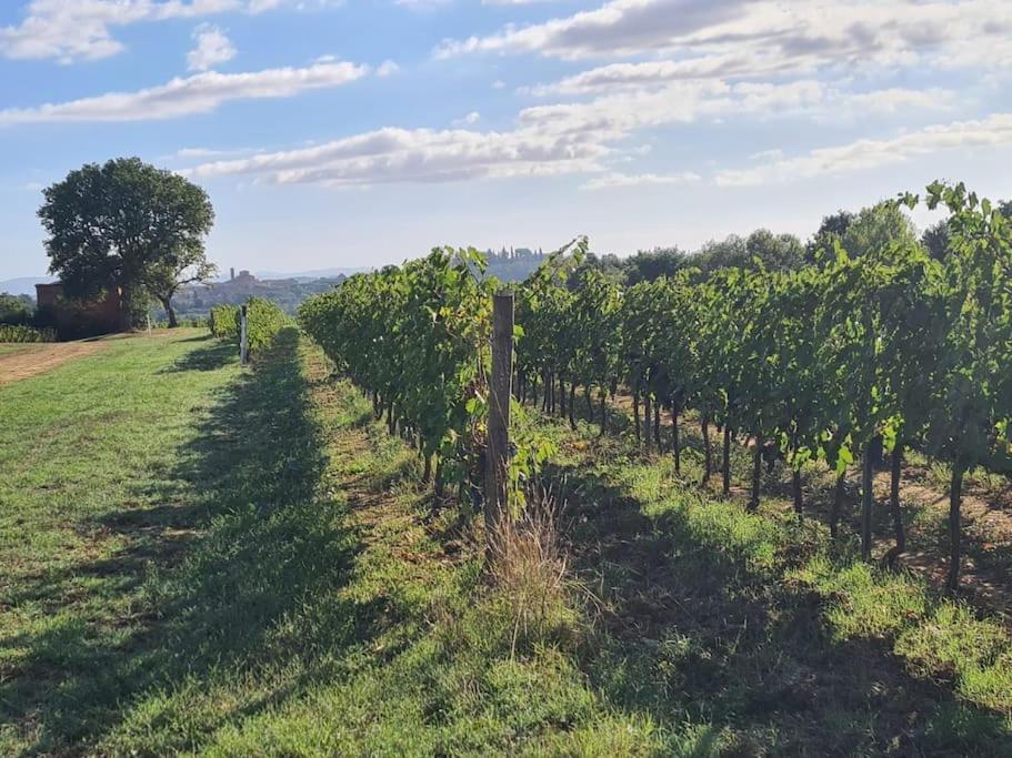 Montepulciano - La Casetta Del Pian Delle Noci Acquaviva  Bagian luar foto