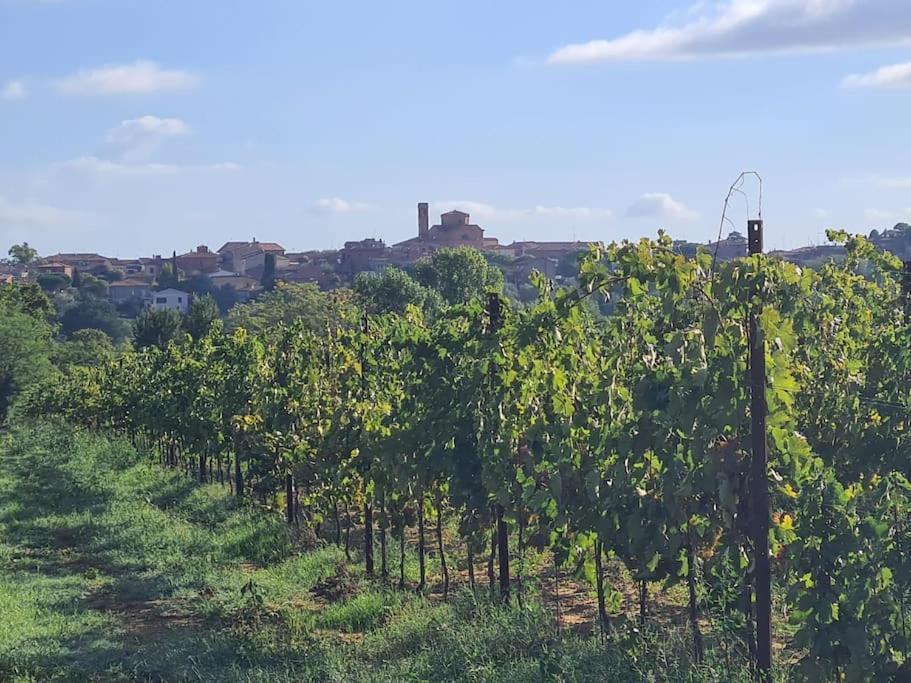 Montepulciano - La Casetta Del Pian Delle Noci Acquaviva  Bagian luar foto