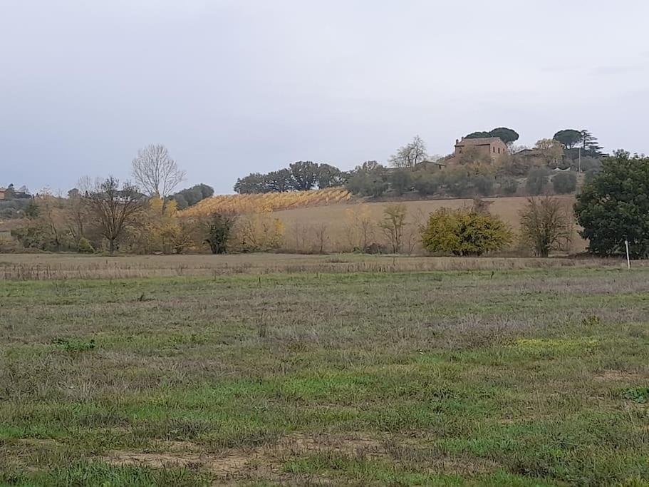 Montepulciano - La Casetta Del Pian Delle Noci Acquaviva  Bagian luar foto