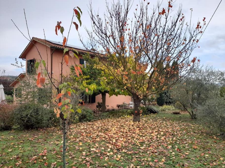 Montepulciano - La Casetta Del Pian Delle Noci Acquaviva  Bagian luar foto