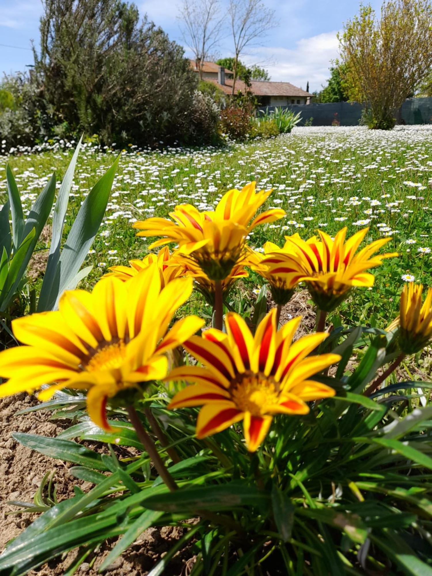 Montepulciano - La Casetta Del Pian Delle Noci Acquaviva  Bagian luar foto