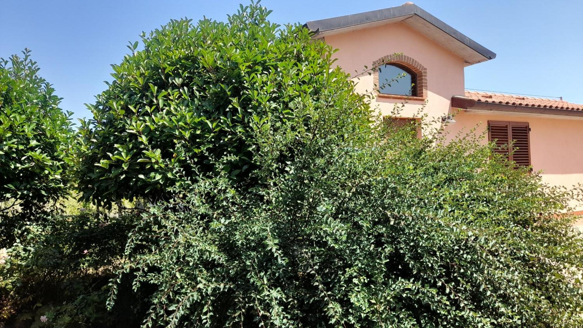 Montepulciano - La Casetta Del Pian Delle Noci Acquaviva  Bagian luar foto