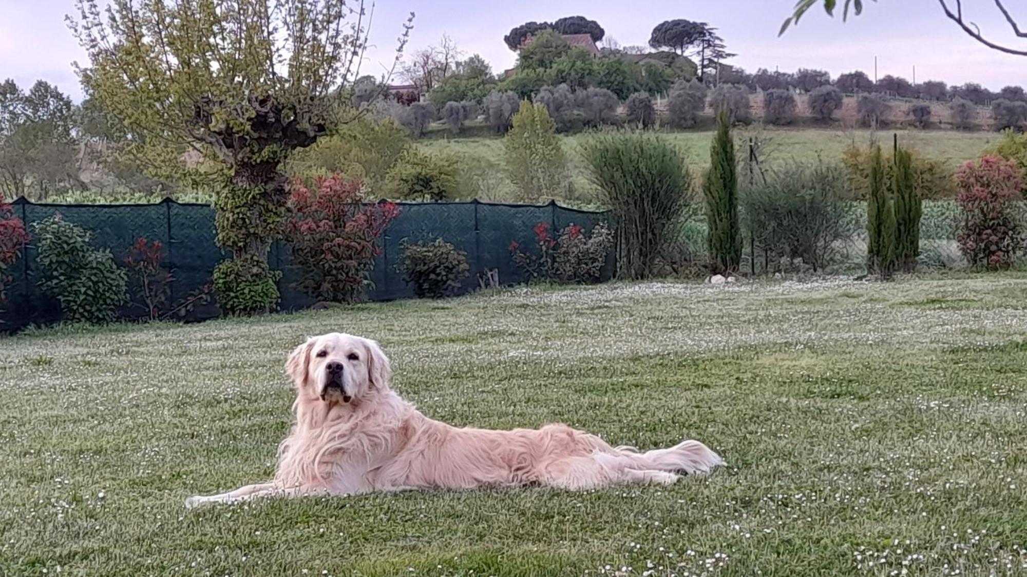 Montepulciano - La Casetta Del Pian Delle Noci Acquaviva  Bagian luar foto